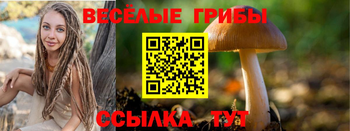 Куйбышев  Псилоцибиновые грибы ЛСД  Вход с VPN 